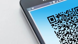 Смольный: Тестирование механизма QR-кодов в музеях и театрах можно считать успешным