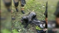 Собаку из колодца с мазутом спасли в Московском районе ...