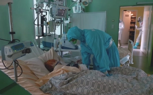 В Петербурге выросло число госпитализированных с COVID-19 за сутки
