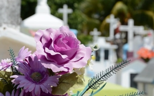 Похоронная компания оспорит в суде право зарабатывать на кладбищах Колпинского района