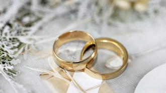 Петербуржцев предупредили о мошенниках, продающих "красивые даты" бракосочетания