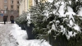 В Петербурге 31 января ожидается до +3 градусов