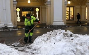 Внутриквартальные территории Петербурга обеспечены дворниками на 92%