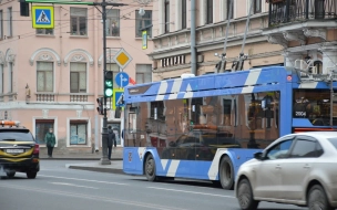В Петербурге для трех троллейбусов введут новую остановку в районе "Новочеркасской"