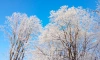 В Ленобласти ночью 21 декабря местами похолодает до -9 градусов