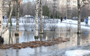 В Ленобласти 22 марта ночью местами похолодает до -9 градусов