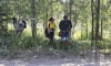 В Ленобласти задержали троих мигрантов при попытке пробраться в Финляндию 