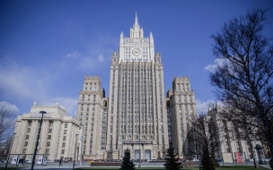 МИД РФ сообщил об охоте на россиян властями США с 2008 года