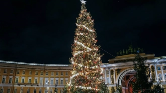 Школьники из Мариуполя проведут новогодние каникулы в Петербурге