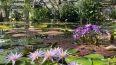 В Ботаническом саду Петра Великого  начала работать ...