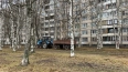 Петербуржцам предложили оценить качество уборки дворов ...