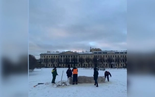 Коммунальщики убрали с Марсова поля арт-объект в виде фекалии