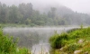 В озере рядом с деревней Полоски заметили тело мужчины