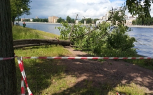 В Петербурге закрывают центральные парки и скверы в преддверии грозы