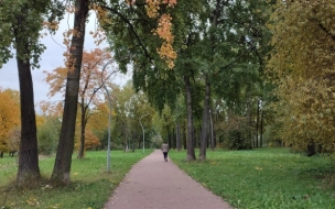 В начале недели Петербург продолжит находиться под влиянием тыловой части циклона