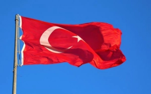 В МИД Турции отреагировали на решение РФ об ограничении авиасообщения