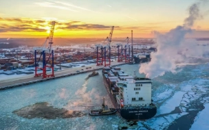 Петербургский морской терминал "Бронка" выкупила компания из Москвы