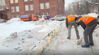 Депутаты Петербурга призвали привлечь Росгвардию для уборки снега