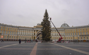 В новогоднюю ночь в Петербурге будет около нуля