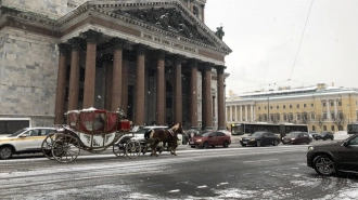 Ночью 5 декабря в Петербурге ожидается резкое похолодание