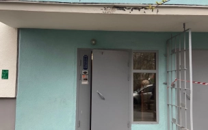 СК квалифицировал взрыв петарды в доме на Товарищеском как покушение на убийство