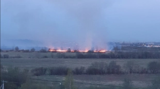 Запах гари от горящего поля дошел до жилых домов в Колпино