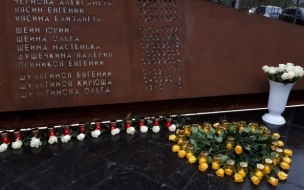 Правительство РФ выплатило компенсации родственникам погибших в теракте над Синаем