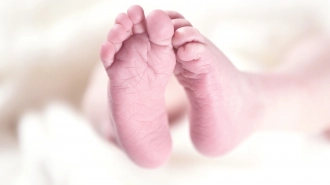 С 1 февраля 2024 года маткапитал на первого ребёнка составит 630 тысяч рублей
