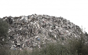 Власти Петербурга хотят увеличить в два раза штрафы за нелегальную свалку мусора
