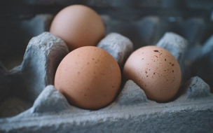 Из Петербурга в Афганистан экспортируют 2,5 млн куриных яиц