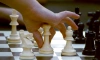 В "Севкабель Порту" 14 июня откроется шахматный клуб