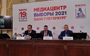 Олег Зацепа рассказал о дублях сейф-пакетов на выборах в Петербурге 