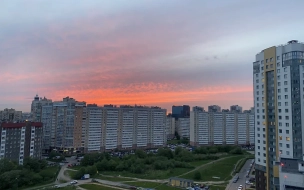 В понедельник в Петербурге сохранится тёплая погода, местами возможны грозы