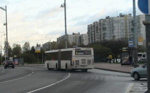 Родственники сбитого под Петербургом пешехода добились от автобусной компании 1 млн рублей