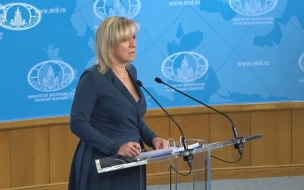 Захарова осудила присутствие иностранных дипломатов на суде по Навальному