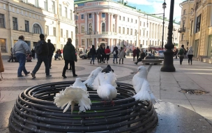 Что произошло в Петербурге 16 апреля: главные новости дня