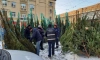 После рейда в Петербурге закрыли 38 незаконных елочных базаров