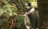 В Ботаническом саду установили памятник кошке Мусе