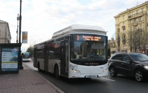 Смольный завершил торги по 10 закупкам для организации автобусных перевозок в 2022 году