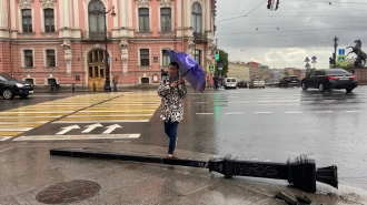 В Петербурге до девяти вечера объявлен "желтый" уровень погодной опасности 