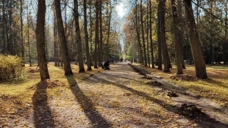 На этой неделе в Петербург вернется тепло