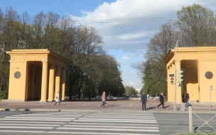 В акции с нацистской символикой в Петербурге собирались принять участие несовершеннолетние