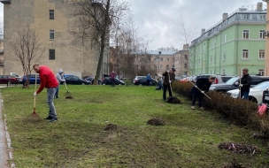 В Петербурге стартовал общероссийский субботник