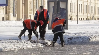 Во всех районах Петербурга нашли нарушения по уборке внутриквартальных территорий