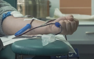 В прошлом году петербуржцы помогли спасти 15 тысяч жизней благодаря донорской крови