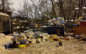 В "Невском экологическом операторе" объяснили, почему в Петербурге 1 января были переполнены все мусорные баки