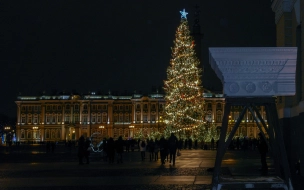 На установку и украшение ели на Дворцовой потратят почти 7 млн рублей