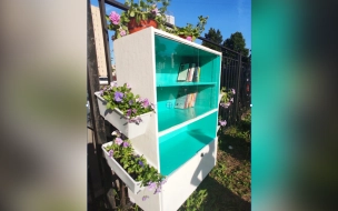 В Шушарах на улице появился книжный шкаф