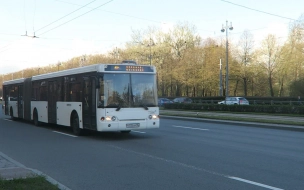 В Петербурге пройдет конкурс "Лучший водитель автобуса-2021"