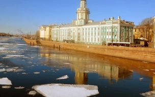 Стоимость весенних туров в Петербург сократилась на четверть